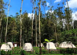 Kuleum Camp And Cabin By ARBA