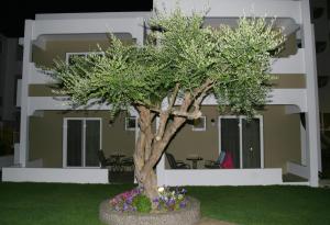 Hotel Agrelli Kos Greece