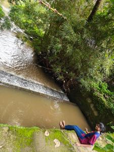 Home Stay in Sulthan Bathery