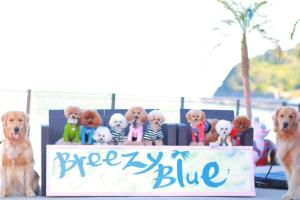 BreezyBlue - Vacation STAY 64820v