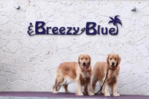 BreezyBlue - Vacation STAY 64820v