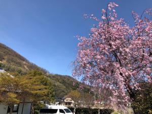 Fukurou no Oyado - Vacation STAY 71286v