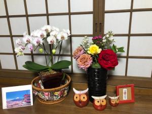 Fukurou no Oyado - Vacation STAY 71438v