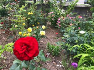 Fukurou no Oyado - Vacation STAY 71438v