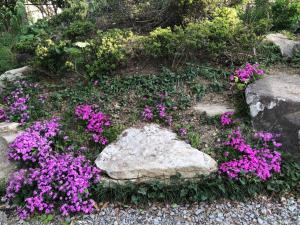 Fukurou no Oyado - Vacation STAY 71438v