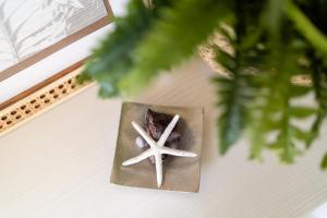 Vent du Vent 402 - Vacation STAY 83691v