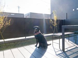 Rakuten STAY Fuji Kawaguchiko Station - Japanese Modern Villa Mt Fuji View 104