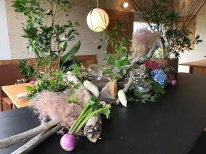 Ezo Shiba - Vacation STAY 12248