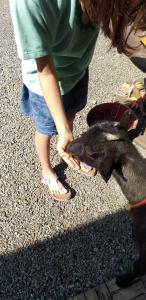 kohagino - Vacation STAY 12342