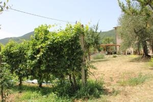 Alle Preci Country house