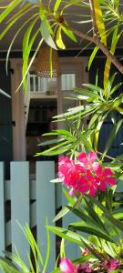 St Cyprien cocon a 2 pas de la mer