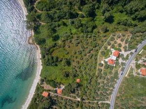 Endless Blue Apartments Thassos Greece