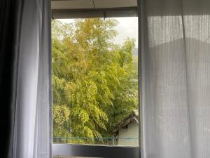 Nagasaki Sakayado Hitoma - Vacation STAY 16332v