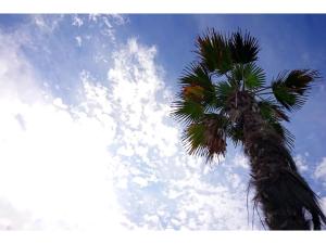 Pensione Shimado - Vacation STAY 37555v