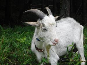 Bobs house - Vacation STAY 42876v