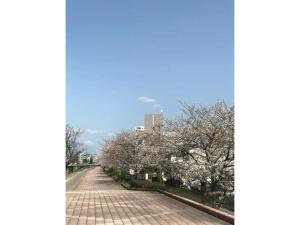 Family House "2F" - Vacation STAY 12940