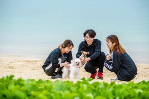 Guest room WES - Vacation STAY 49860v