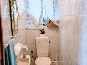 Pension Hanadama - Vacation STAY 67585v