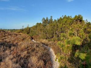 6 person holiday home in Rømø-By Traum