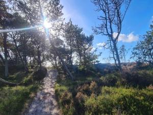 6 person holiday home in Rømø-By Traum