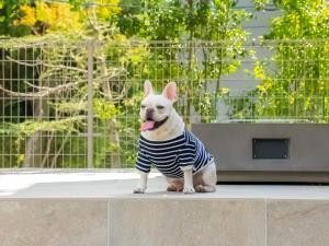 Rakuten STAY VILLA Aso Kurokawa -105 1LDK pet allowed Capacity of 6 persons