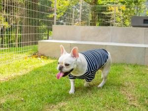 Rakuten STAY VILLA Aso Kurokawa -105 1LDK pet allowed Capacity of 6 persons