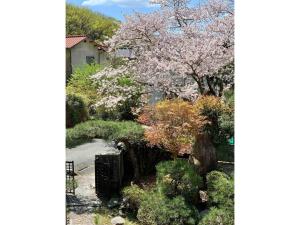 Ensoh - Vacation STAY 13339