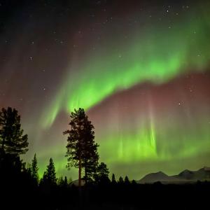 Målselvfossen Feriesenter