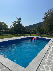 DreamLand Lagodekhi & Wine Cellar