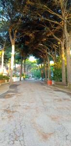 MareBlue Mobilhomes on Camping Mare e Pineta