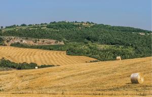 Gorgeous Home In Todi