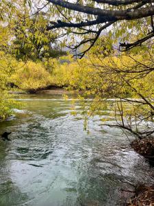 Rio Manso cabaña km 18