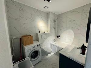 Pluto Studio w garden Cosmopolis