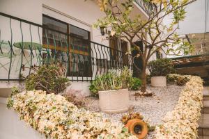 House Douro Panorama Valley