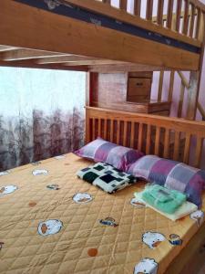 Shine and Denden Transient House