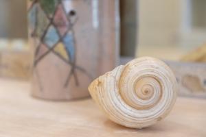 Luxury Villa Sea Front With Pool img74