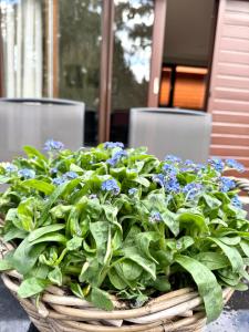 T Boshuusje Berg & Beek