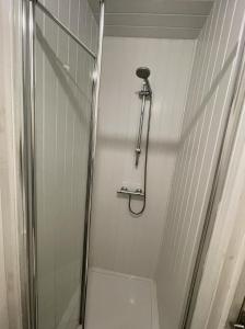 Entire Cosy Flat in Central London