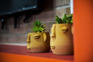 Departamento en Oaxaca para 18 personas - Con amenidades a 2,5km del centro