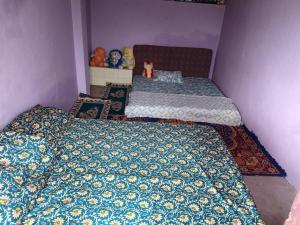 Safarnama Homestay & Camping Service