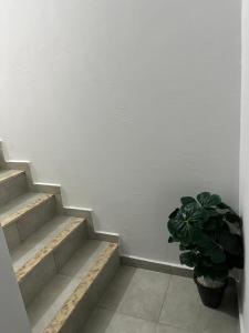 Nid douillet en duplex