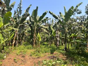 1 Bedroom- Tranquil Meru Retreat