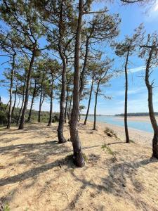 Manoir, appartement avec terrasse, proche mer, vue golf et lac, 5 pers, accès gratuit piscines