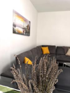 Tirana Central Square View