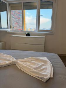 Tirana Central Square View