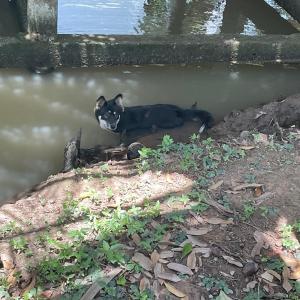 Quoc Phuong Riverside Homestay