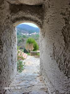 En Cévennes,Les gîtes du Champ Neuf La grange du Papé