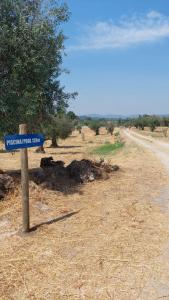 Quinta da Mouracha