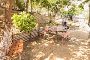 B&B Il Rifugio di Olea