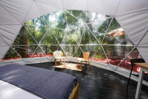 Indómito Domes at El Yunque Zone